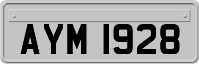 AYM1928