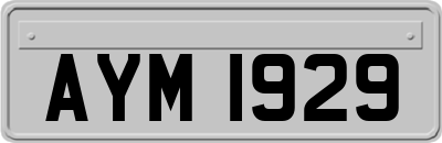 AYM1929