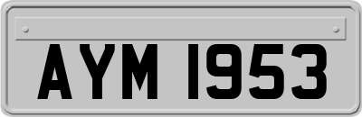 AYM1953