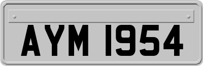AYM1954