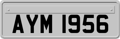 AYM1956