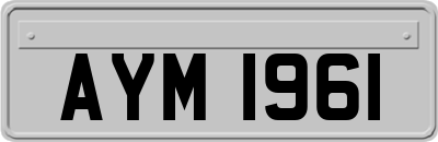AYM1961