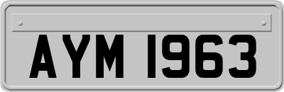 AYM1963