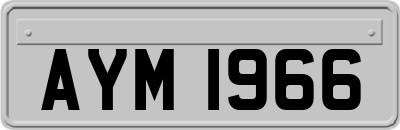 AYM1966