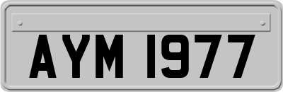 AYM1977
