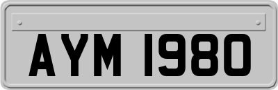 AYM1980