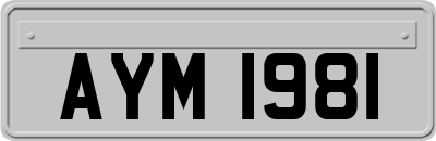 AYM1981