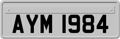 AYM1984