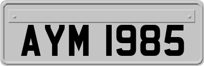 AYM1985