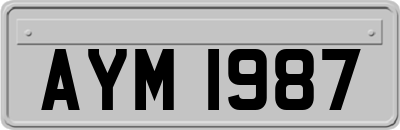 AYM1987