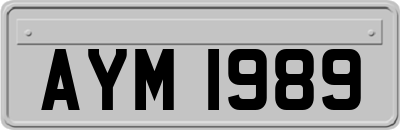 AYM1989