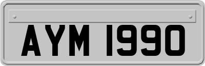 AYM1990