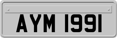 AYM1991