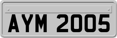 AYM2005