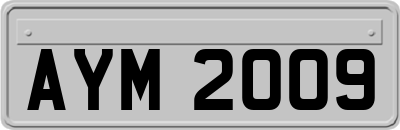 AYM2009