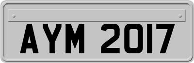 AYM2017