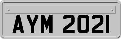 AYM2021