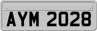 AYM2028