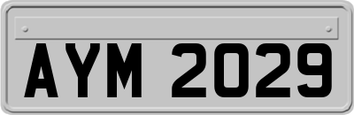 AYM2029