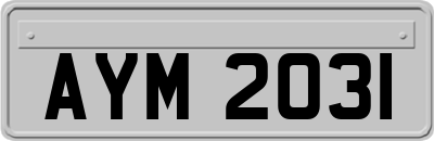 AYM2031