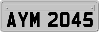 AYM2045