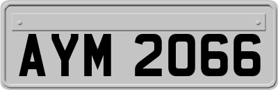 AYM2066
