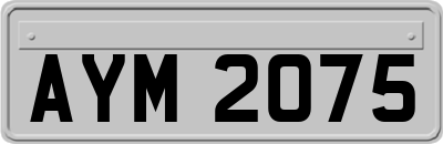 AYM2075