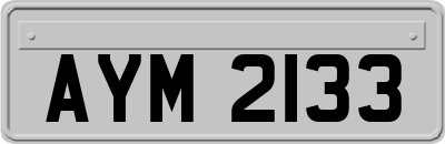 AYM2133