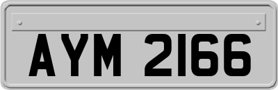 AYM2166
