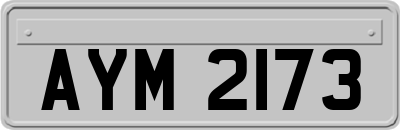 AYM2173