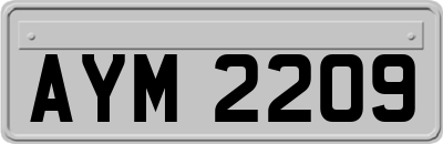 AYM2209