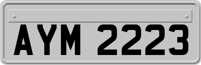 AYM2223