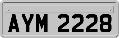 AYM2228