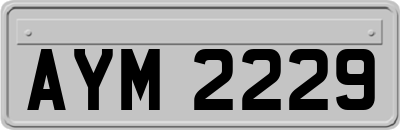 AYM2229
