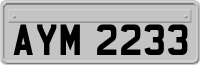 AYM2233
