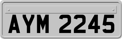 AYM2245