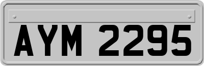 AYM2295