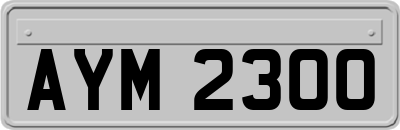 AYM2300