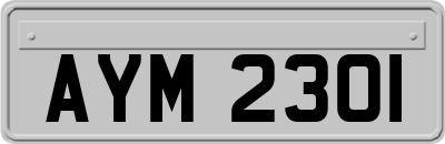 AYM2301