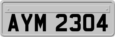 AYM2304