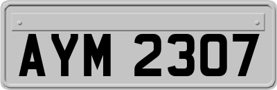 AYM2307