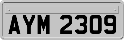 AYM2309
