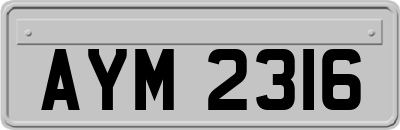 AYM2316