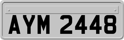 AYM2448