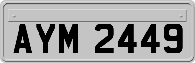 AYM2449
