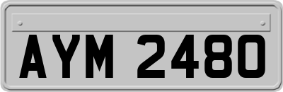 AYM2480
