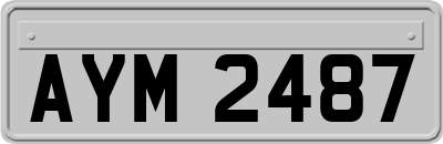 AYM2487