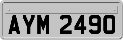 AYM2490