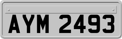 AYM2493