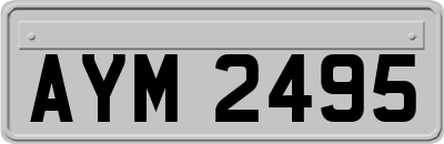 AYM2495